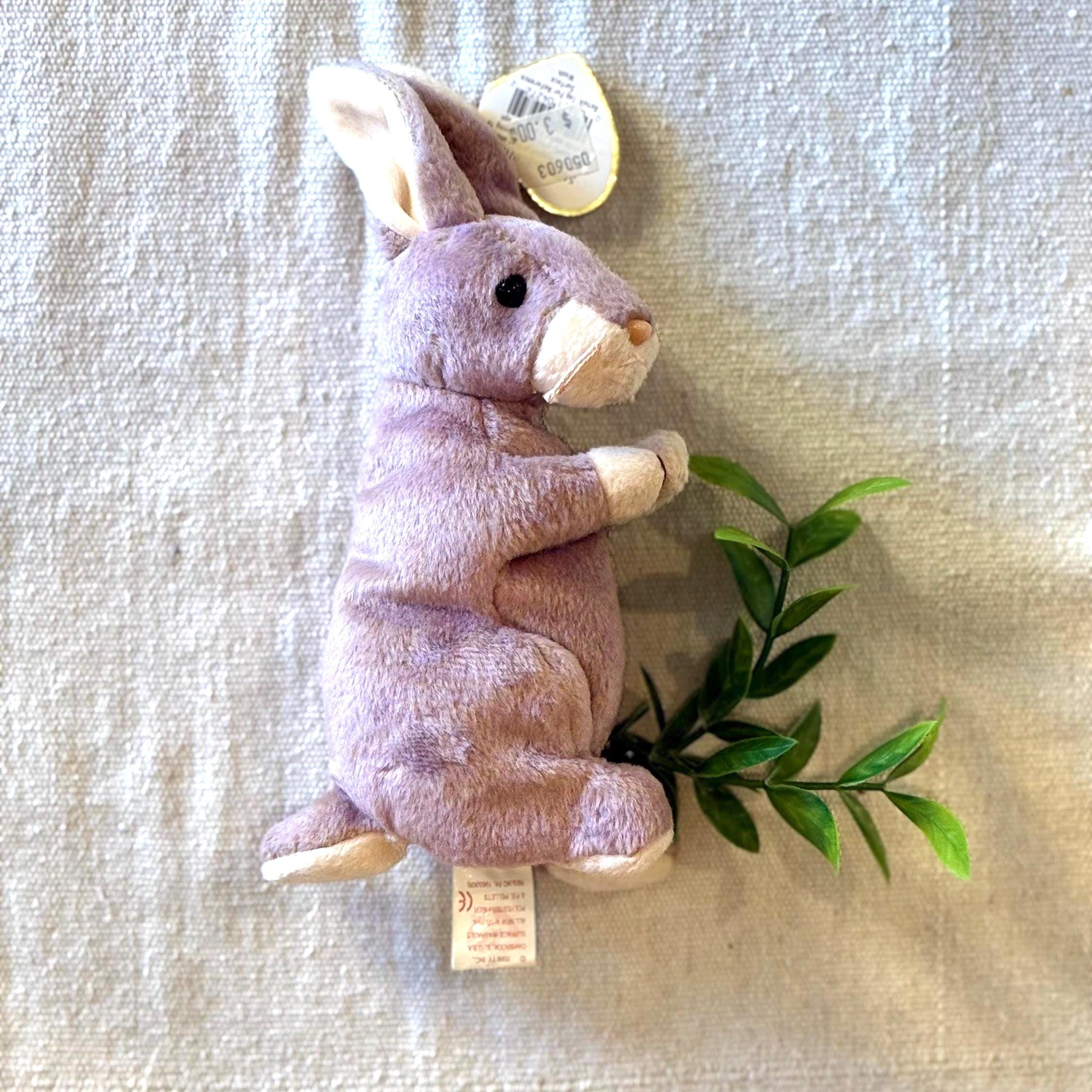 VINTAGE 2000 Ty Original Beanie Baby 