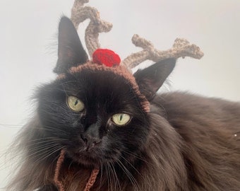 May include: A black cat wearing a knitted reindeer costume with brown antlers and a red pom-pom on the hat.