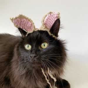 Hand Knitted Easter Bunny Ears Cat Hat