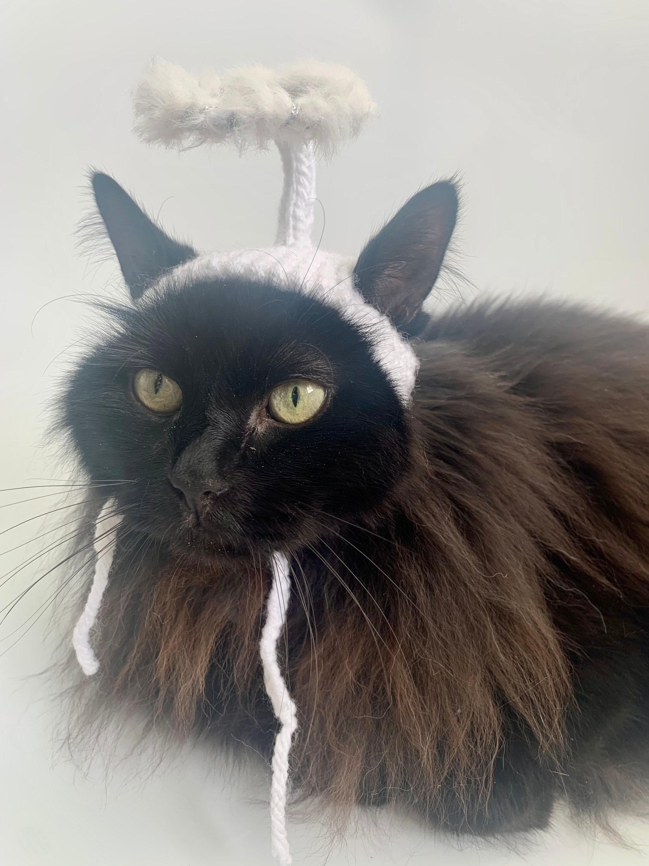 Cat christmas cheap pudding outfit