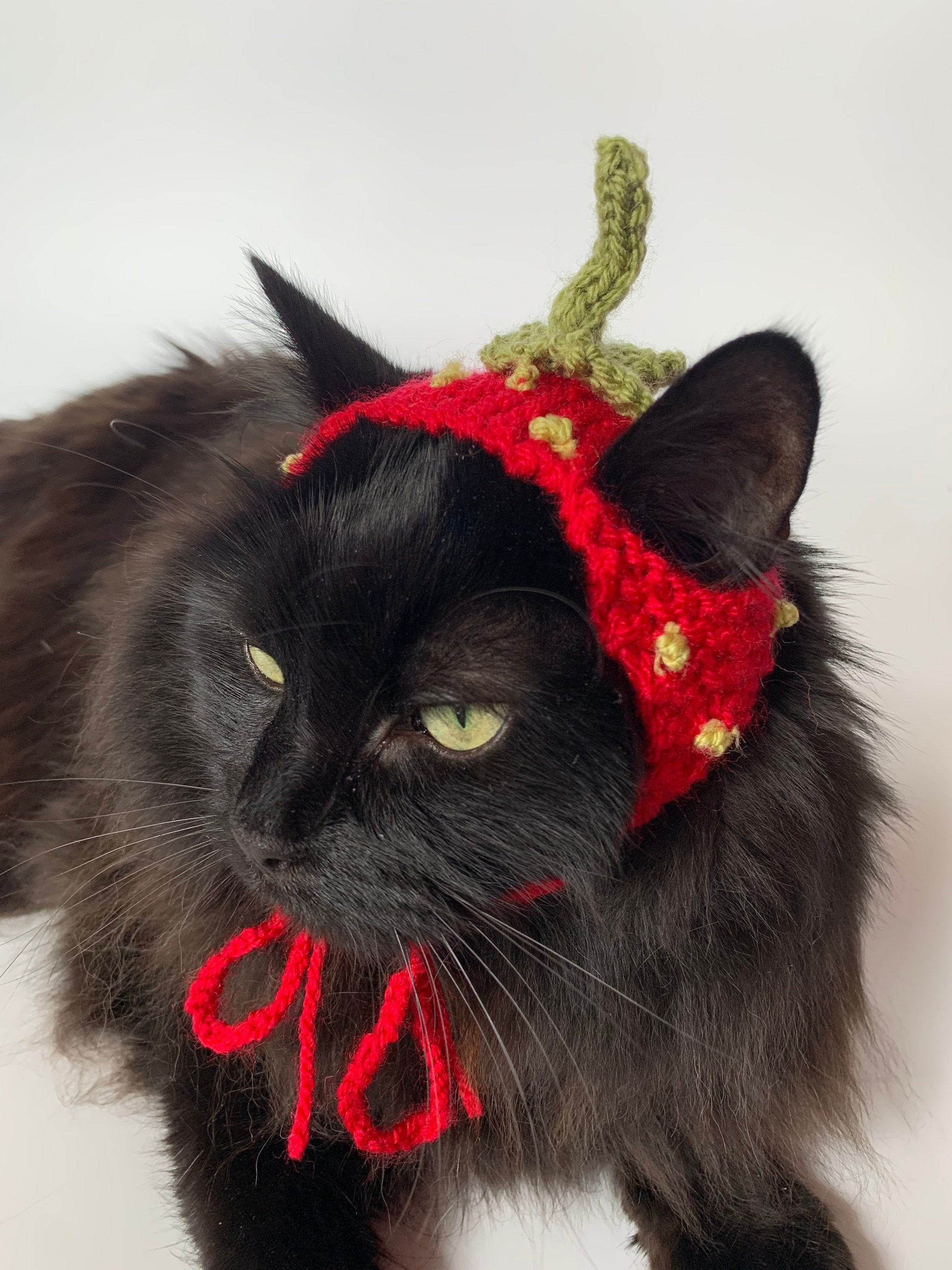 Hand Knitted Strawberry Cat Hat Etsy UK