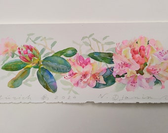 Pittura originale dell'acquerello di Rododendro Hymenanthes, fiori acquerello arte