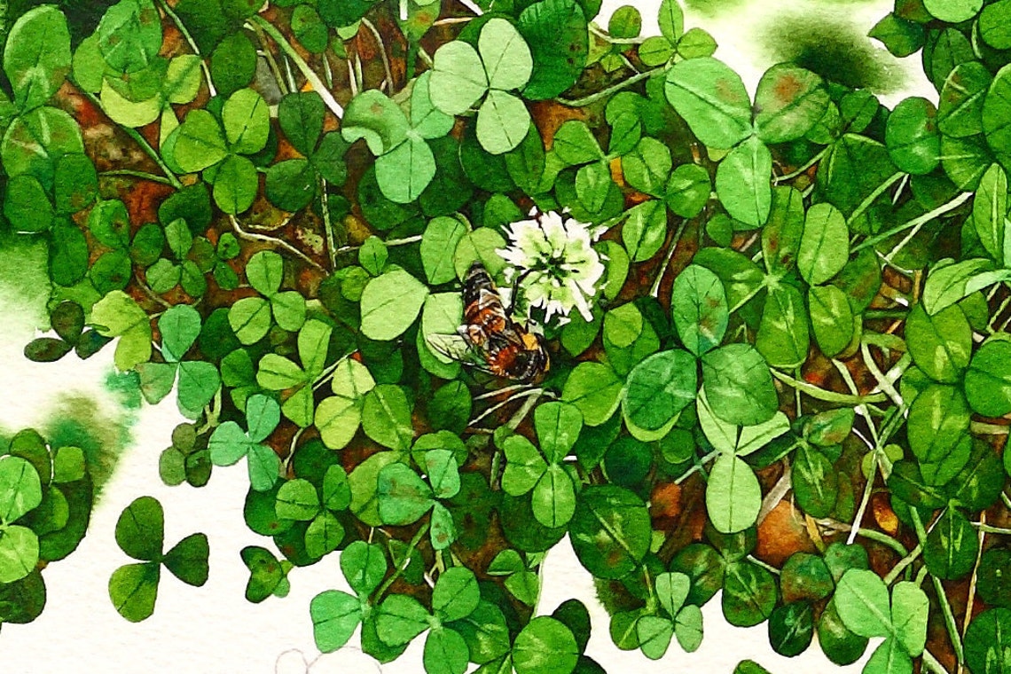FourLeaf Clover Watercolor Painting Clover Watercolor Art Etsy