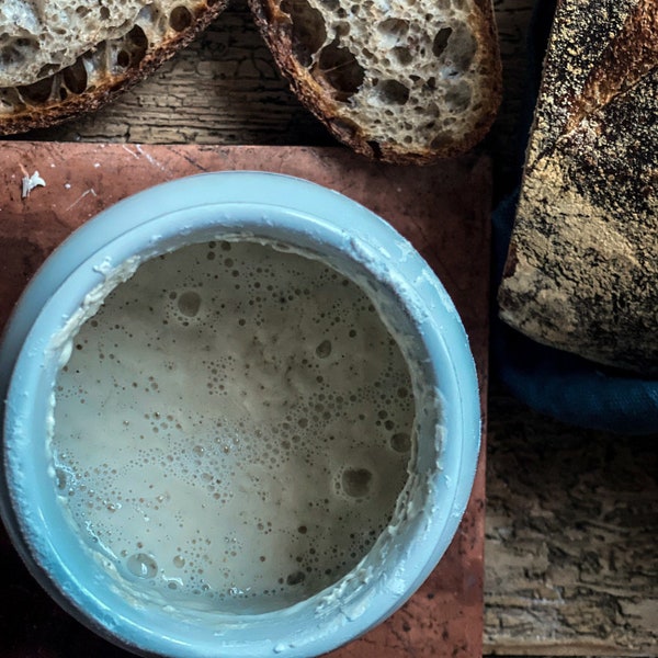 Levain actif au levain de plus de 100 ans d'âge - moulu sur pierre - Levain au levain inclus (50 g)