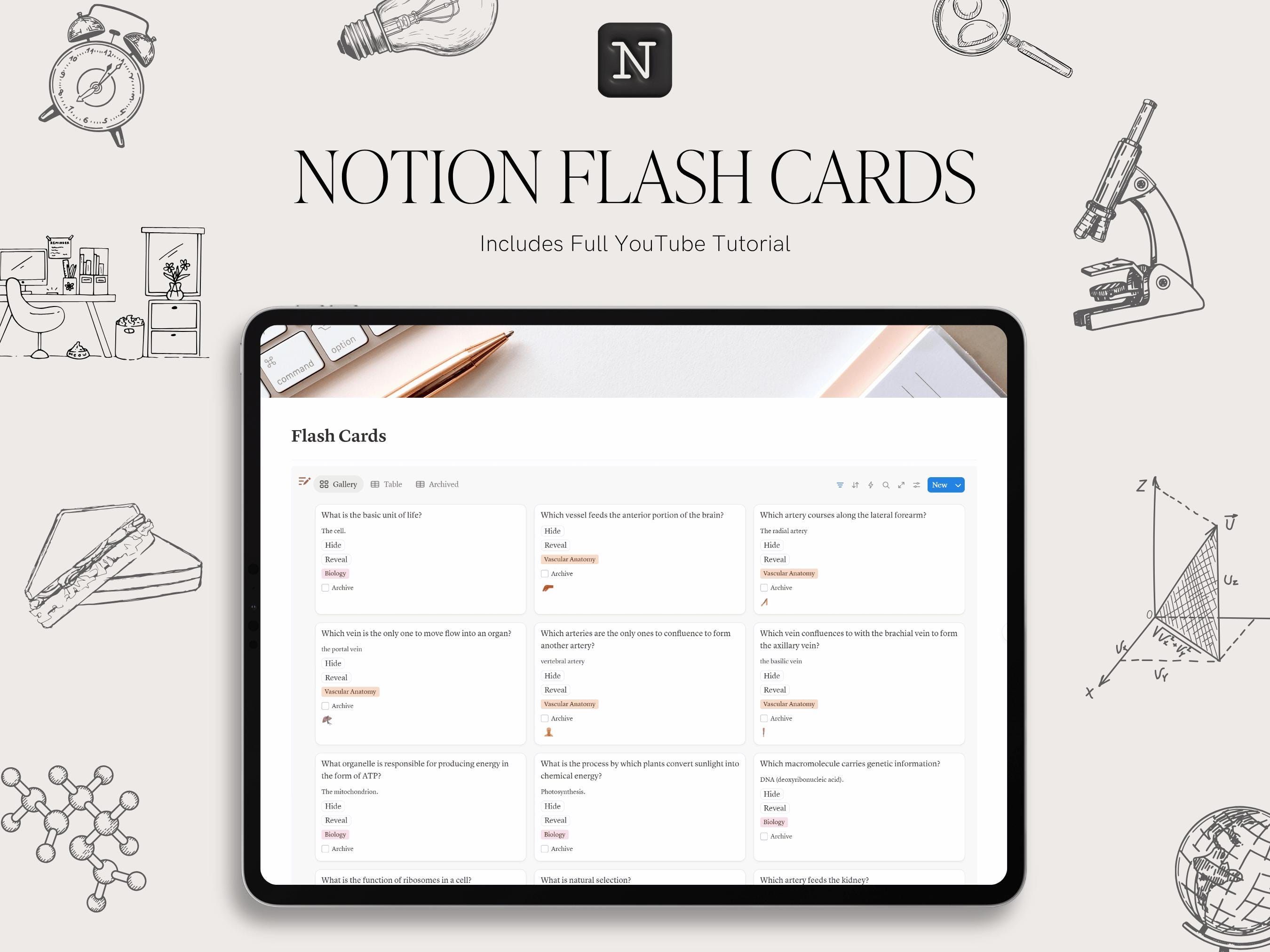 Split-Screen Flashcard and Notes UI
