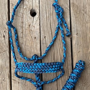 Midnight Tide Mule Tape hästgrimma