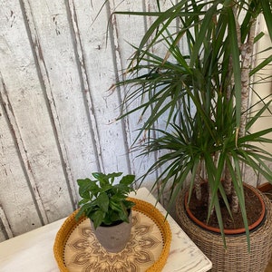 May include: A yellow crocheted tray with a mandala design on the bottom. The tray is on a white wooden surface and has a small potted plant inside.