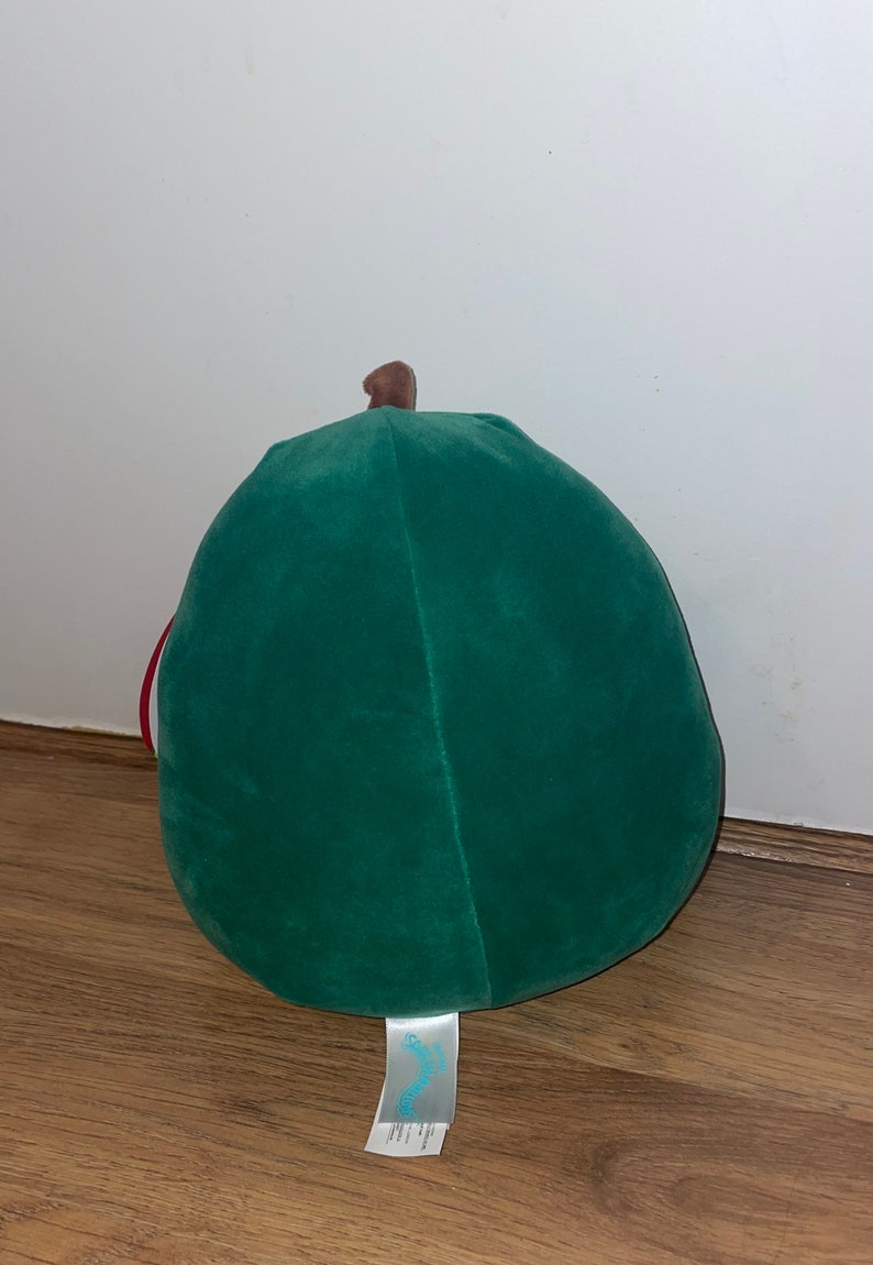mireya squishmallow
