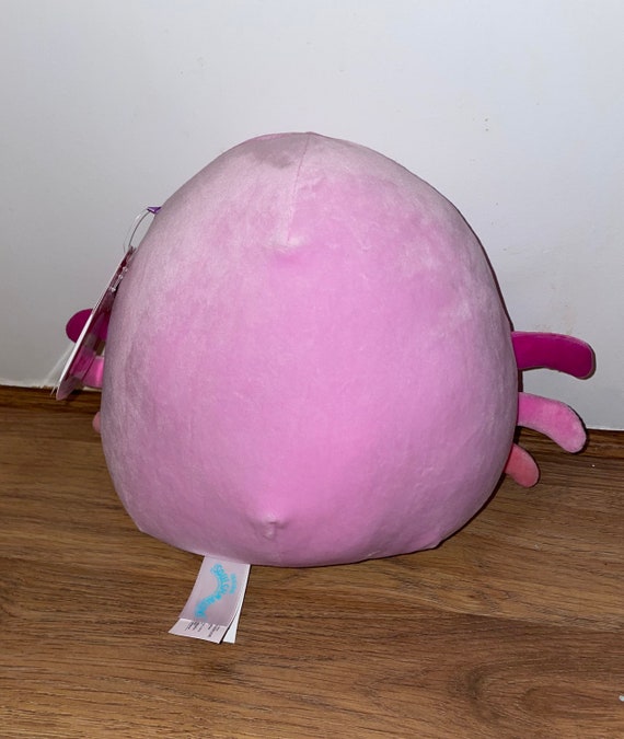 cailey squishmallow