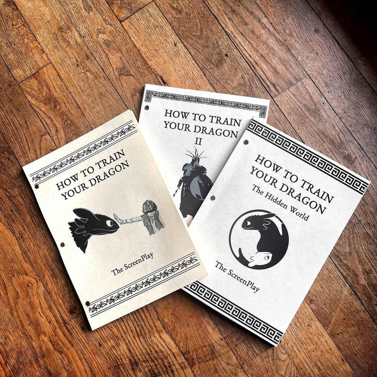 How to Train Your Dragon Full Trilogy 3 Movie Script Reprint Etsy