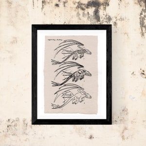 Sketch poster: Anatomical Toothless (Toothless) paper support 100% handmade COTTON