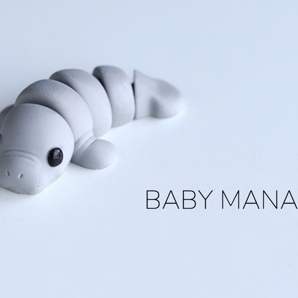 Baby Manatee Fidget Model / Keyring