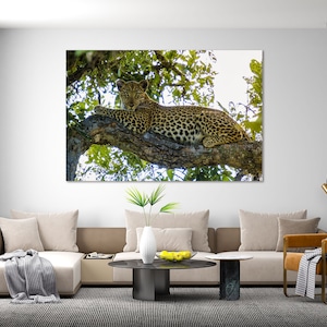 Leopard Print Canvas, Leopard Home Art, Leopard Decor for Interior, Safari Animals Print, Wild Animals Print Canvas, Wildlife Decor for Wall
