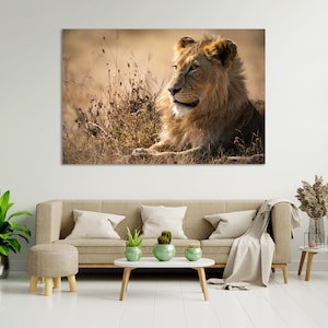 Lion Decor for Home, Lion Print Canvas, Wild Animal Print, Safari Animals Wall Art, Wildlife Print Canvas, Lion Painting on Canvas