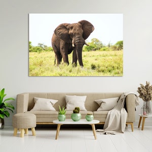 Arte de parede elegante com elefante, arte moderna com estampa de elefante, decoração com design de elefante para casa, tela com estampa de elefante, impressão fotográfica de elefante
