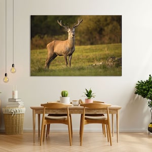 Red Deer Photo Print, Wild Animals Art for Wall, Wild Animals Gift Art, Woodland Animal Picture for Wall, Deer Large Wall Art, Deer Painting