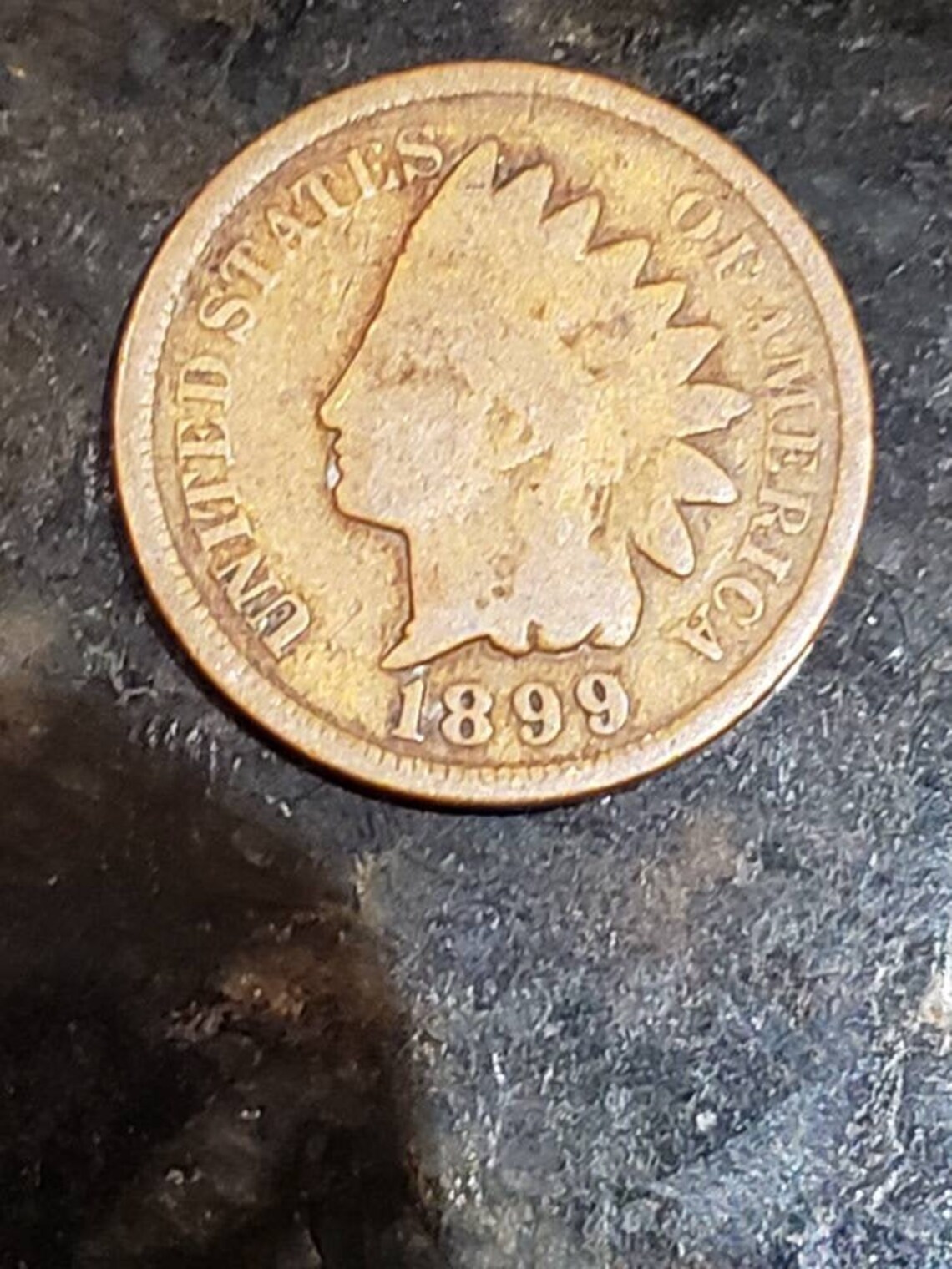 1899 Indian head wheat penny Etsy