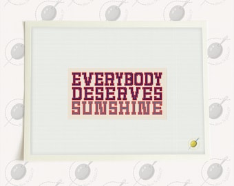 Everybody Deserves Sunshine - Needlepoint and Cross Stitch Pattern: Heated Rivalry Inspired DIY (PDF & Stitchly)