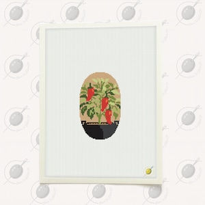 May include: A cross-stitch design of a chilli pepper plant in a black pot, with three red peppers and green leaves. The plant is set against a tan oval background, framed in white.