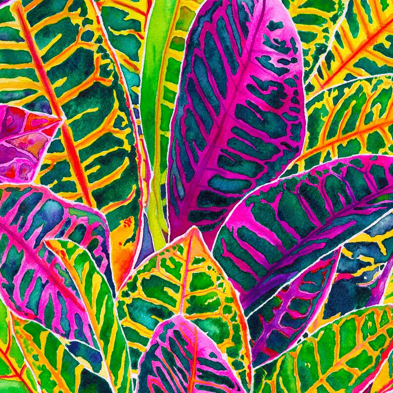 Puede incluir: Una pintura de acuarela de hojas tropicales en tonos de verde, amarillo, rosa y morado. Las hojas tienen un patr&oacute;n vibrante y abstracto.