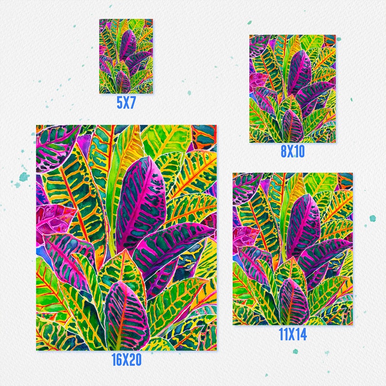 Puede incluir: Una pintura de acuarela de una planta tropical vibrante con hojas grandes y coloridas. Las hojas son una mezcla de verde, amarillo, rosa y morado, con intrincados patrones y venas. La pintura est&aacute; disponible en varios tama&ntilde;os, incluyendo 5x7 pulgadas, 8x10 pulgadas, 11x14 pulgadas y 16x20 pulgadas.