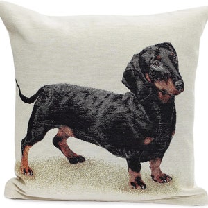 May include: A black and tan dachshund dog is standing on a cream-colored pillow. The dog is looking to the right of the image.