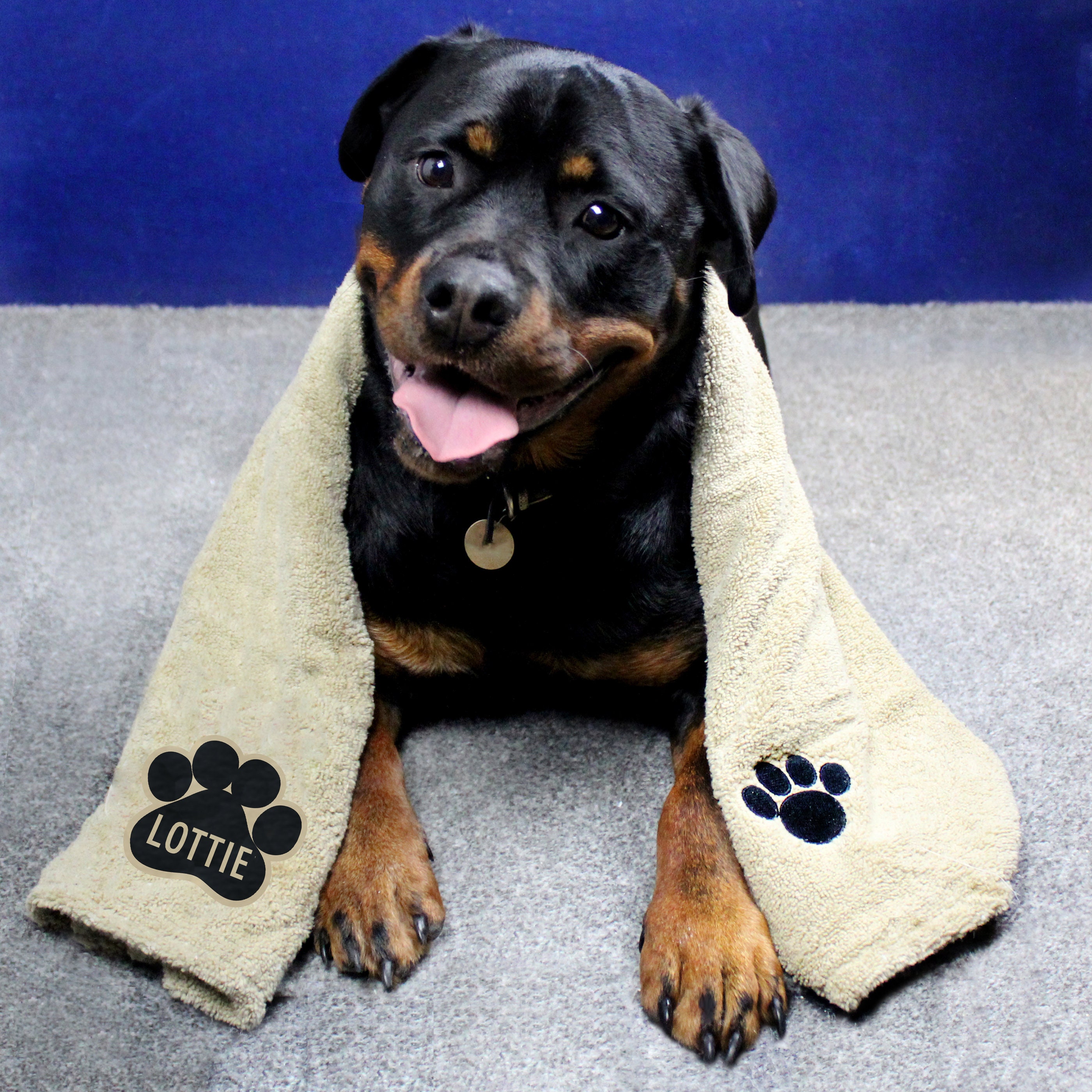 Personalised microfibre dog towel sales
