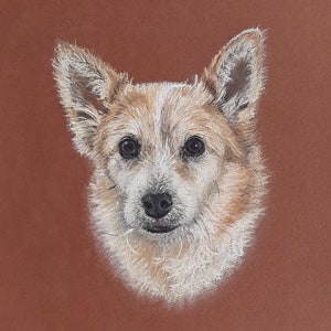 Custom hand drawn pastel dog portrait,pet portrait, pet lover gift, personalised gift in the UK, animal art, soft pastel wall art image 10