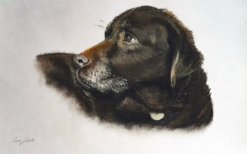 Custom hand drawn pastel dog portrait,pet portrait, pet lover gift, personalised gift in the UK, animal art, soft pastel wall art image 4
