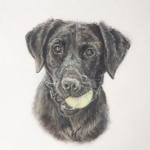 Custom hand drawn pastel dog portrait,pet portrait, pet lover gift, personalised gift in the UK, animal art, soft pastel wall art image 6