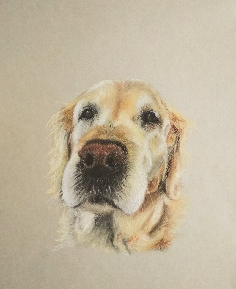 Custom hand drawn pastel dog portrait,pet portrait, pet lover gift, personalised gift in the UK, animal art, soft pastel wall art image 2