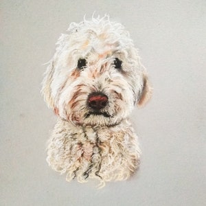 Custom hand drawn pastel dog portrait,pet portrait, pet lover gift, personalised gift in the UK, animal art, soft pastel wall art image 5