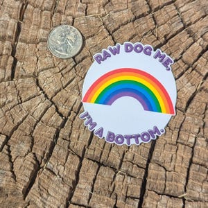 The Boys Raw Dog Me I&#39;m a Bottom Queen Maeve Hughie Waterproof Weatherproof Decal