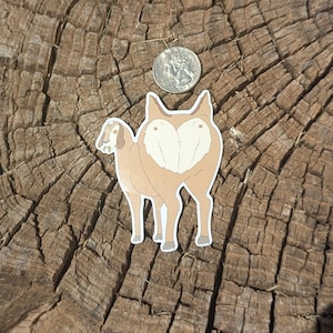 May include: A tan sticker featuring a cartoon goat with a heart-shaped design on its rear. The sticker is placed on a weathered, brown wooden surface, with a quarter coin nearby for size comparison. The goat sticker has a white outline.