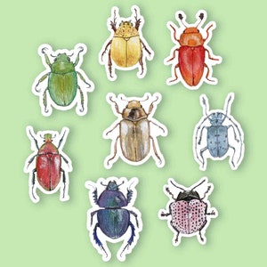 Beetle Stickers, Original art, Insect Art