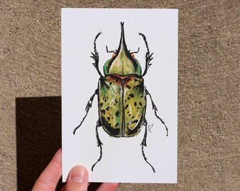 Green Beetle Print