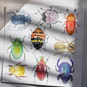 Beetles Watercolor Painting Print: 8x8 Handmade Art