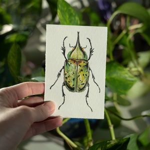 Green Beetle Print