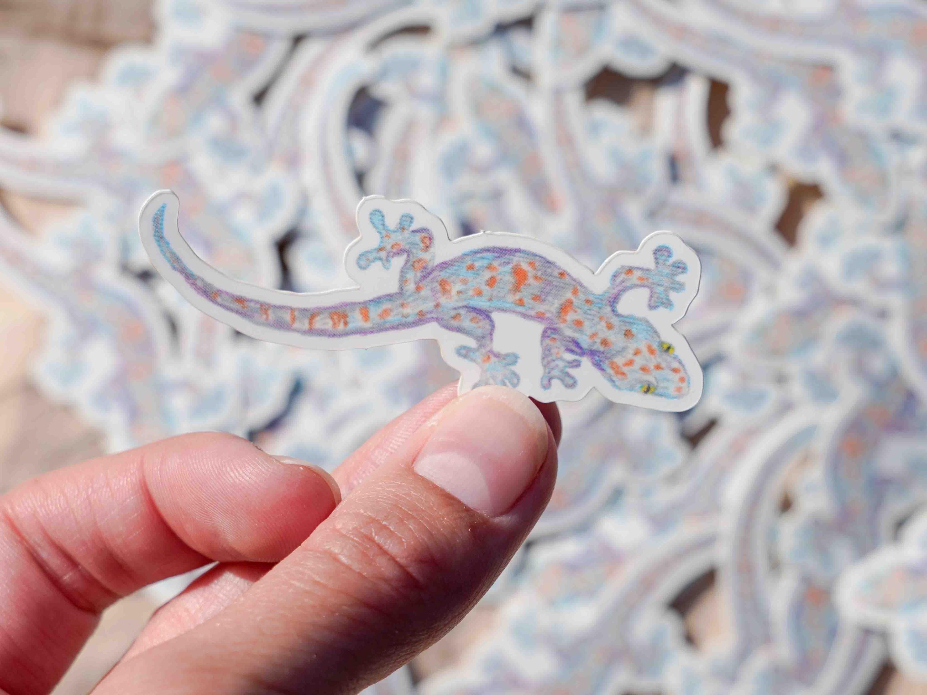 Tokay Gecko Sticker