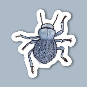 Adesivo scarabeo finto della morte blu