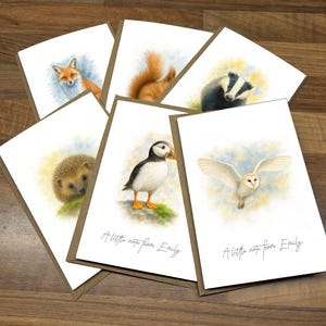 May include: A set of greeting cards with watercolour illustrations of British wildlife: a fox, squirrel, badger, hedgehog, puffin, and owl. Each card has a brown border and the text "A little note from Emily".