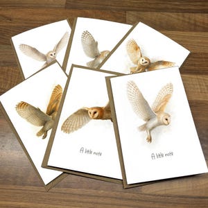 May include: A set of greeting cards with watercolour illustrations of barn owls in flight. Each card has a white background, a brown border, and the text "A little note". The owls are shown with their wings outstretched.