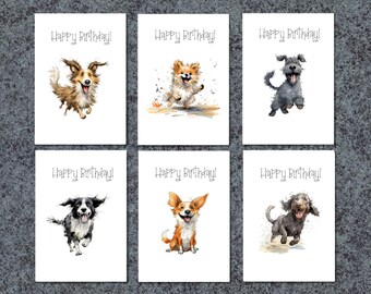 Birthday Card Pack Funny Highland Cow Illustrations Varied Designs ...