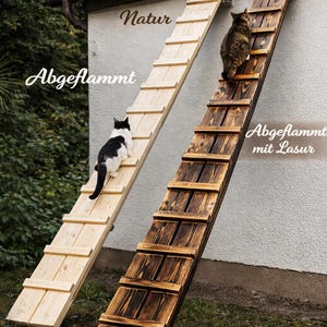 Escalera de madera para gatos MediKratz: hecha a mano, resistente a la intemperie, estable, ayuda para trepar para gatos en interiores y exteriores, fabricada en Alemania.