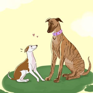 Custom Pet Portrait Drawing, All types of pet welcome