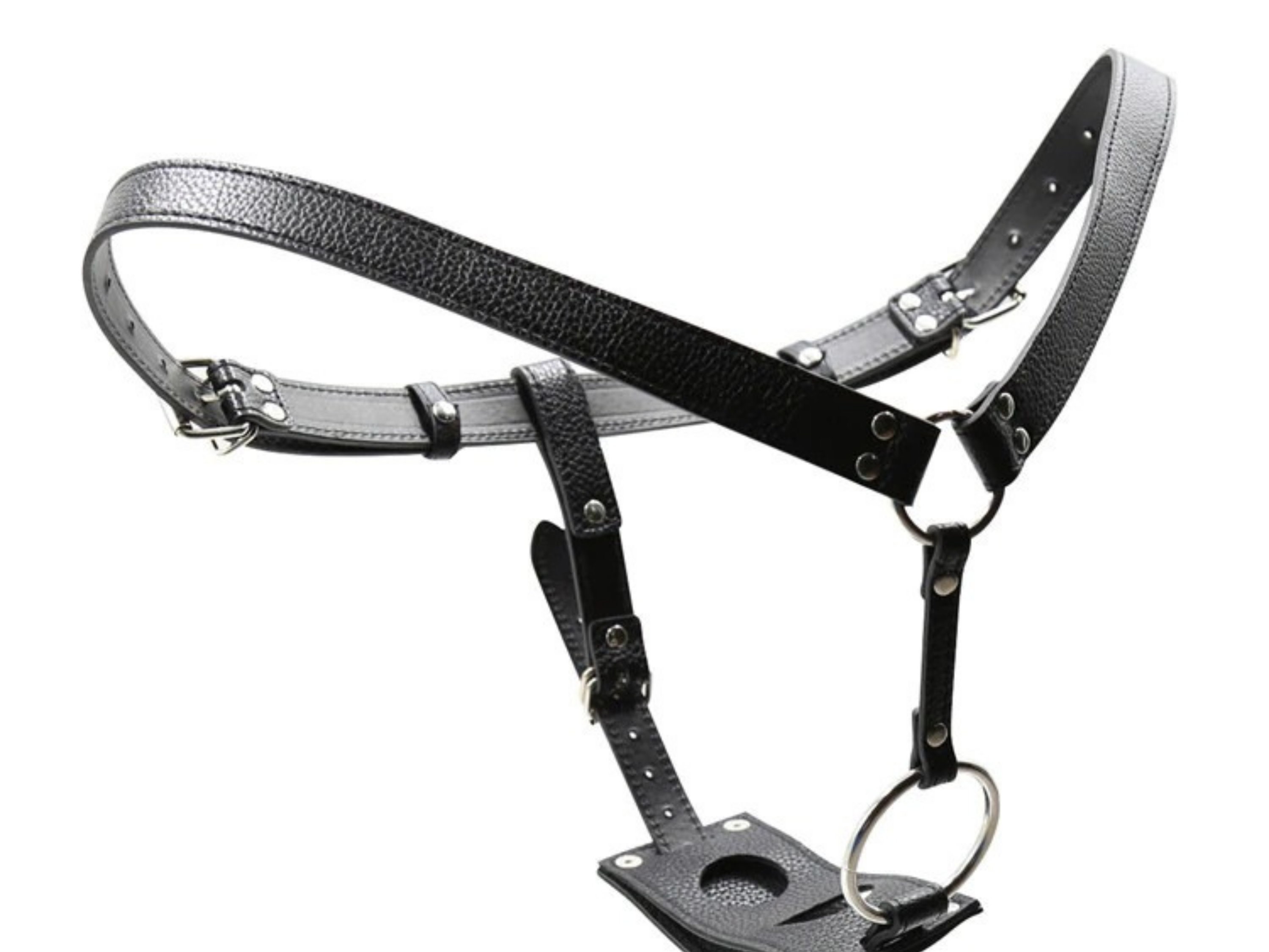 Butt Plug Harness