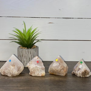 May include: Four rough-cut, light-colored crystal points with varying shades of beige and brown. The crystals are displayed on a dark wooden surface, with a small potted succulent plant in the background.