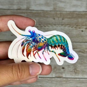 Peacock Mantis Shrimp, Holographic Vinyl Waterproof Sticker Die-Cut, Realism Style