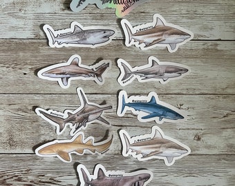 Waterproof Shark Sticker Pack: Ocean Animal Decals for Laptop, Water Bottle