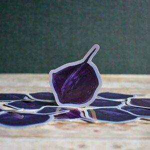 Stingray Vinyl Waterproof Sticker Die-Cut
